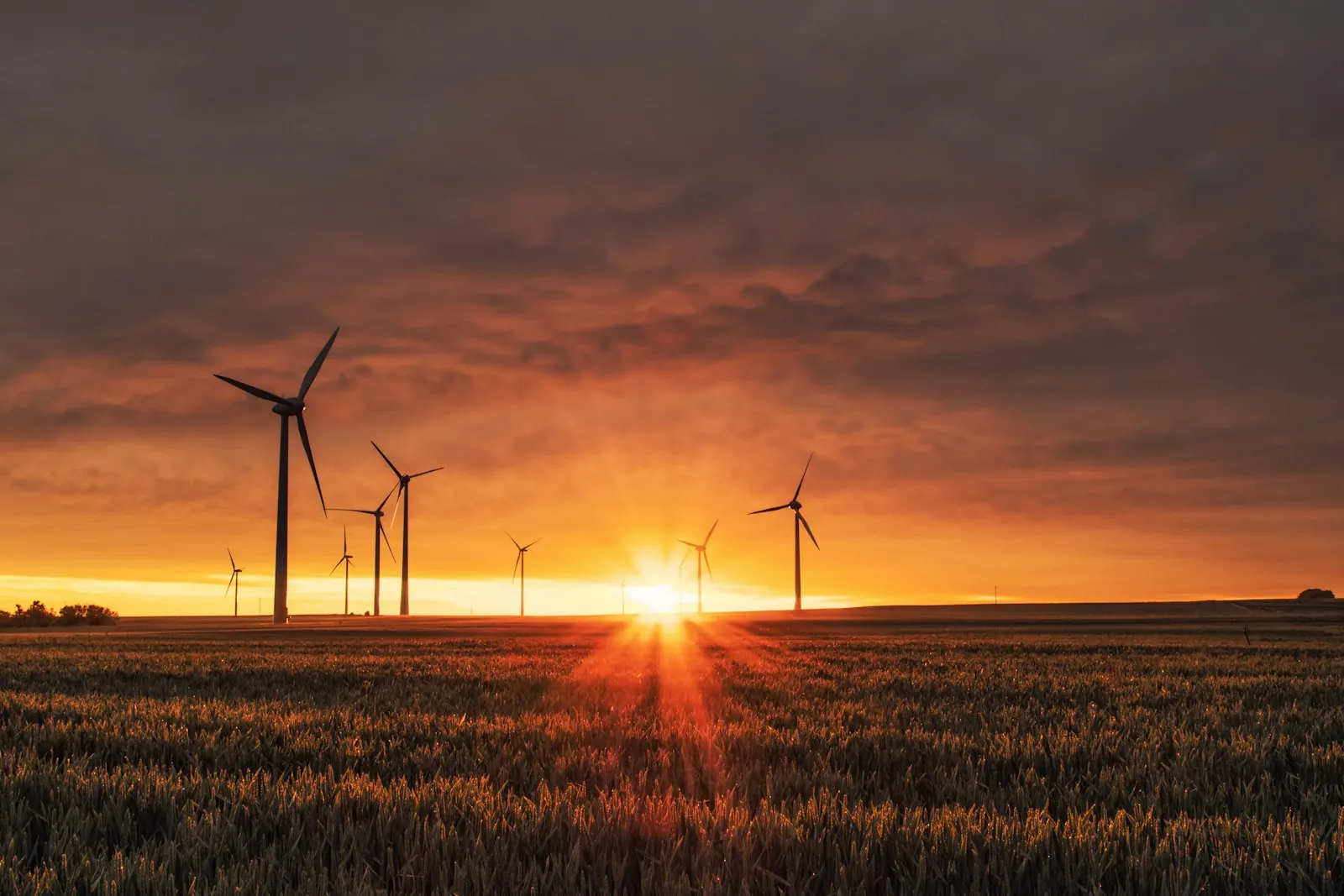 Renewable energy and sustainability operations